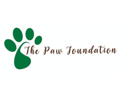 Help "The Paw Foundation" for Rescue & Treatment of Helpless Animals.