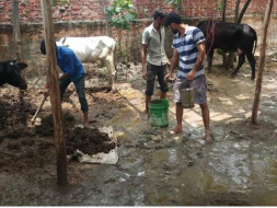 Save Animals from Flood and Rain. Help us in building their sheds.