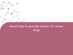 Need help to provide shelter for street dogs