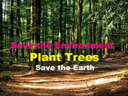 Join me to Plant 5 Millions Trees for environment to Save the Earth