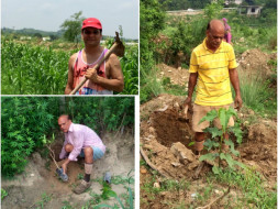 Help us plant another 1000 trees