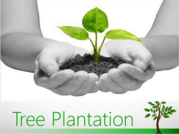 Tree Plantation drive-Your Single Penny Counts
