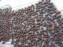 Project One Lakh Seed Bombing in Aravalis