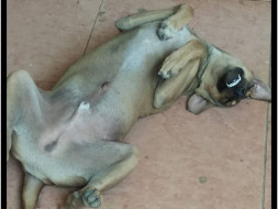 Help Karma Get An Anesthesia Machine