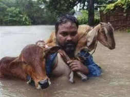 Appeal For Donation of Assam's Flood Victims.