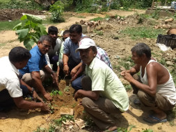 Plant Tree with Project Green Hand