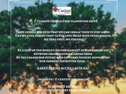 Climate Change: Tree Plantation Drive