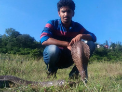 Save Snake Rescuers To Save our Lives