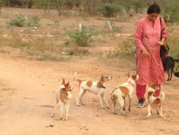 Help PAWS Andhra Pradesh set up a Speciality Animal Hospital