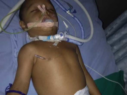 Help My Son Recover From Dengue