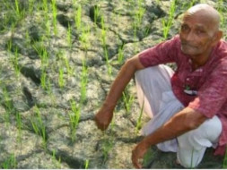 Help The Poor Farmers Who Are Losing Hope To Live