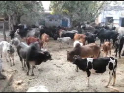 SANSKAR AWAAZ AYOJANA CHARITABLE TRUST