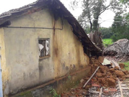 Please help Pomma recover from loss due to Floods!