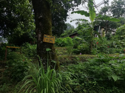Help Us To Make Himalayan Farm Project Sustainable