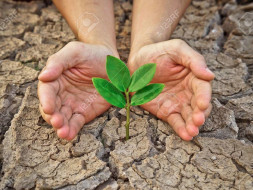 Let's Join Hands To Bring Back Greenery Of ODISHA