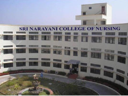Asking collage fees to pay