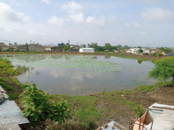 नर्मदांचल जल अभियान-जल संचय हेतु तालाब,कुओं को गहरा कर व्यवस्थित करना.