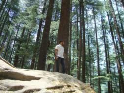 Travel with Darshan