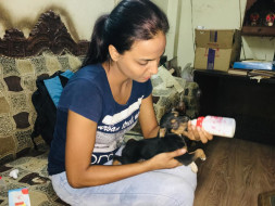 Raise funds for the stray animals their treatment,food & sterilization