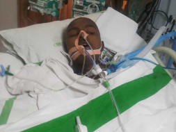 Help Shibil to fight cancer