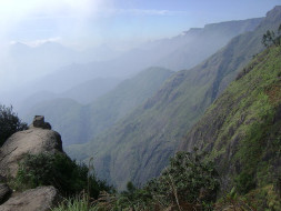 Help Raghu Ramulu- Save Nature