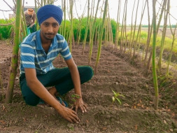 Help Me Plant Trees For Our Planet