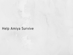 Help Amiya Survive