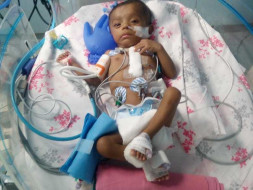Nethra Needs Your Help To Survive