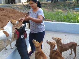 Help Sangeeta And Ravi Build A Forever Home For Their 50+ Street Dogs