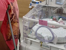 Babies Of Megha Kishor Ayer Need Your Help