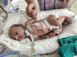 Help Save Baby Zakyui
