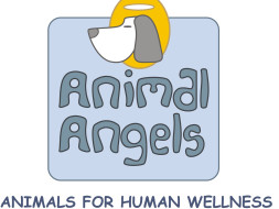 Animal Assisted Therapy For Special People