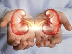 Help Me Fight Chronic Kidney Disease And Live A Healthier Life