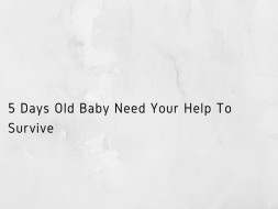 5 Days Old Baby Need Your Help To Survive