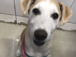 Help secure little Mia’s future