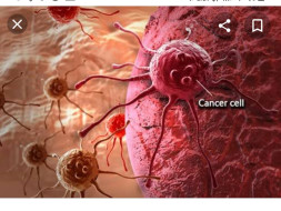 Help P Gowri Fight Blood Cancer