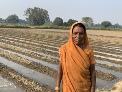 Empower Farmers During Covid