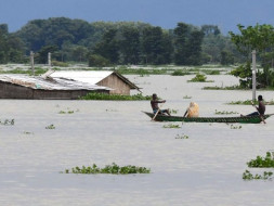 Assam Needs Your Help.
