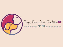 HELP PRCF_India vaccinate 100 dogs in Guwahati and Bombay💉🦠
