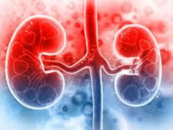 Help my father fight Kidney Damage