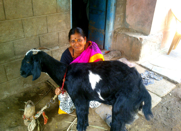 Help Rekha buy two more goats and increase her income