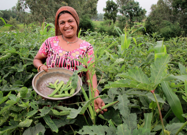 I am pledging my birthday to help farmers earn better yields and sustain their farming businesses