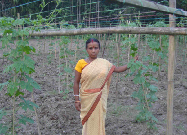 Help Sima Barman purchase seeds for bitter-gourd cultivation