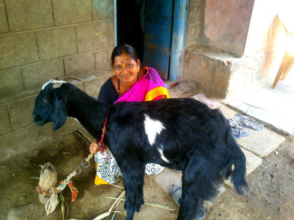 Help Rekha buy two more goats and increase her income
