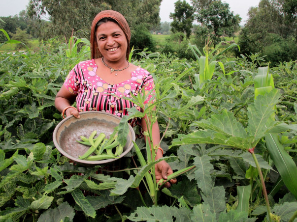 Help farmers earn better yields and sustain their farming businesses