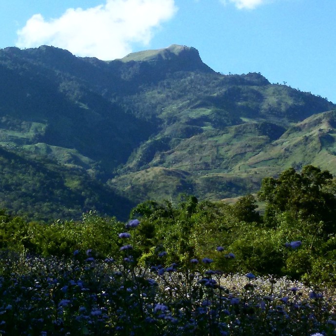 The sacred Koubru Mountain. 