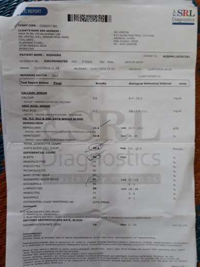 Blood Test Report.