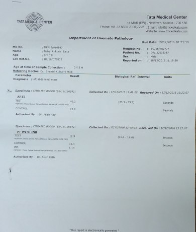 Report