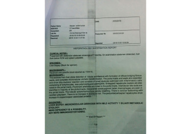 histipathology report of liver