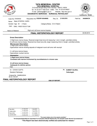 Bone Marrow Biopsy Report